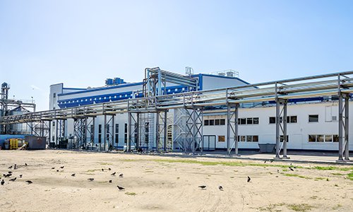 Создание завода по переработки сои (ОАО «Алексеевский соевый комбинат»)