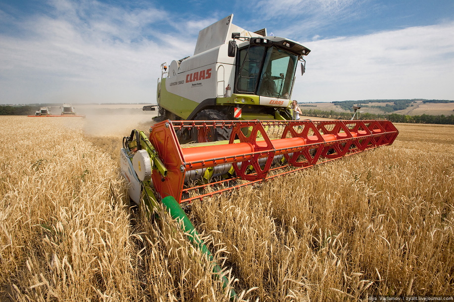 Belgorod region in the top three agricultural leaders of Russia