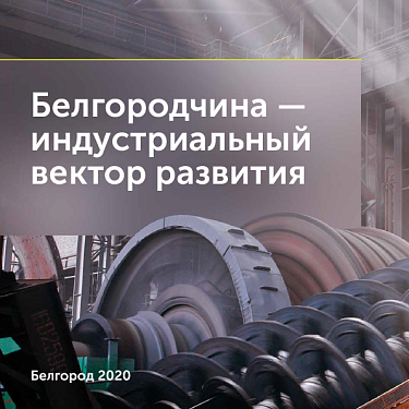 Белгородчина - индустриальный вектор развития. 2020 год 